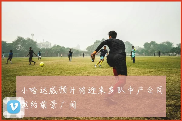 小哈达威预计将迎来多队中产合同邀约前景广阔