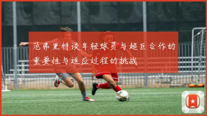 范弗里特谈年轻球员与超巨合作的重要性与适应过程的挑战