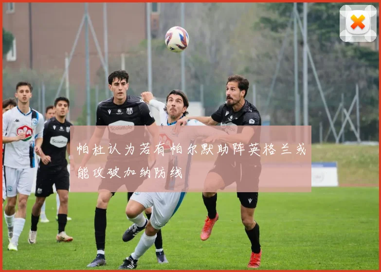 帕杜认为若有帕尔默助阵英格兰或能攻破加纳防线
