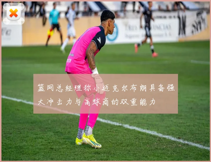 篮网总经理称小迈克尔布朗具备强大冲击力与高球商的双重能力